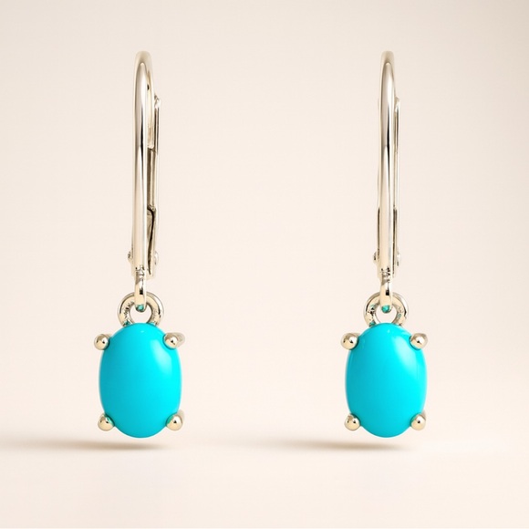 Jewelry - Sleeping Beauty Turquoise Lever Back Drop Sterling Silver Earrings New